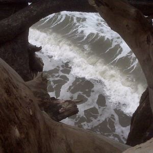 Meet your Posher, Sammy